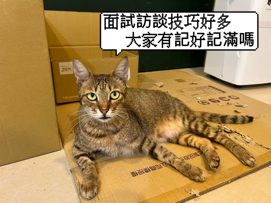 2022就業力培訓班開課啦