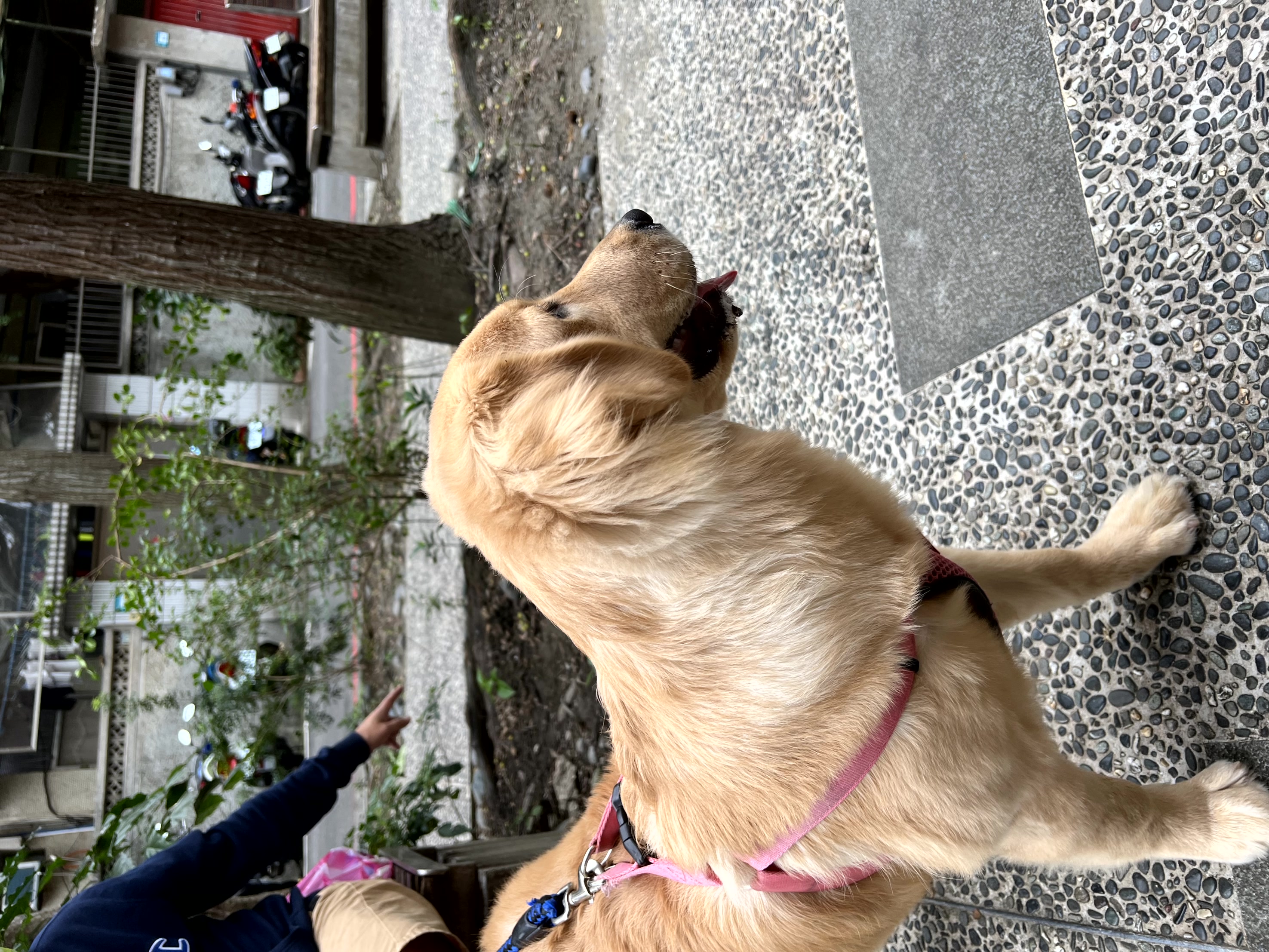 2022漾漾好日Open House Day